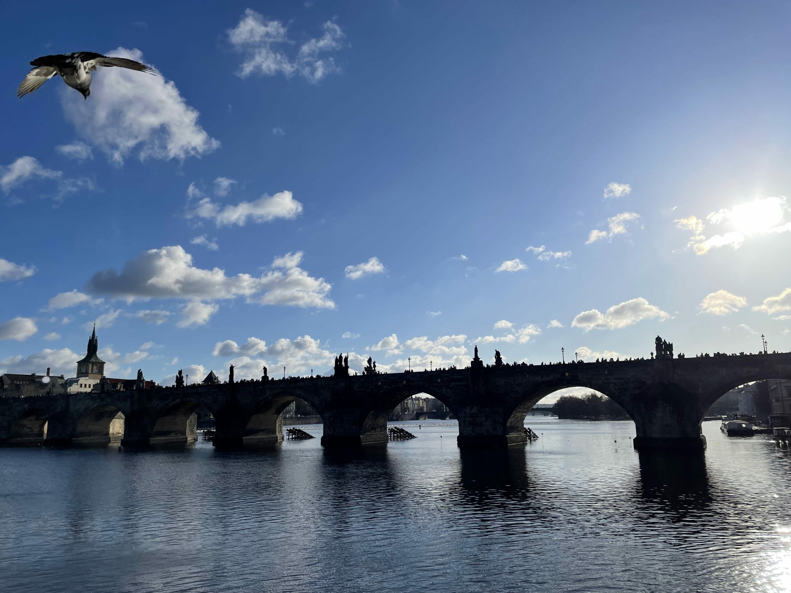 Prague in Winter - Charles bridge